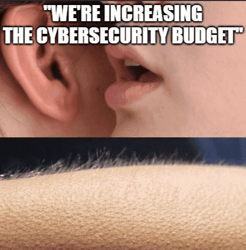 Cybersecurity Meme 32