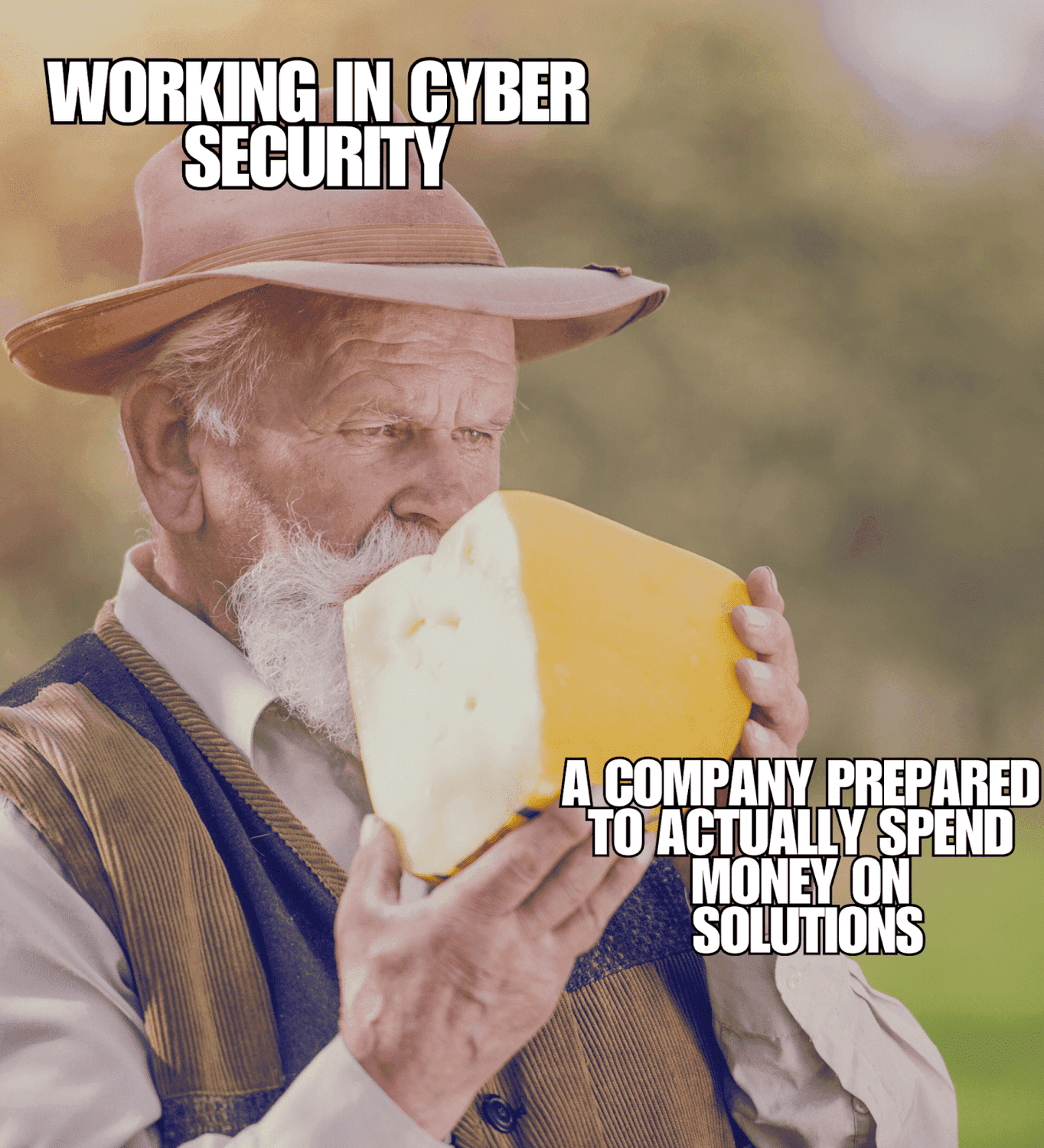 Cybersecurity Meme 44
